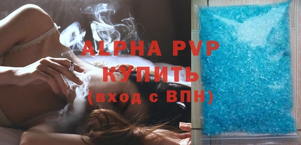 прущие грибы Дмитриев