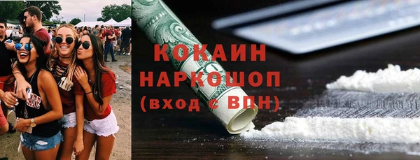 прущие грибы Дмитриев