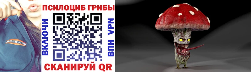 Купить где  Ноябрьск  Галлюциногенные грибы ЛСД 